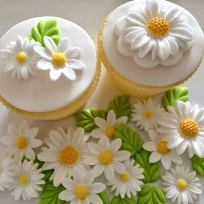 White Daisy Mix