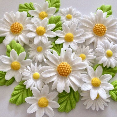 White Daisy Mix