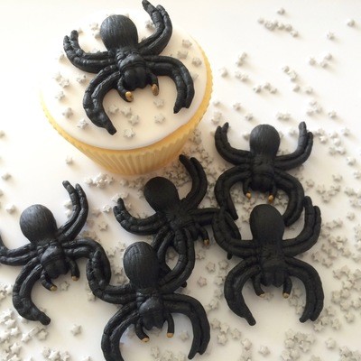 Black Sugar Spiders