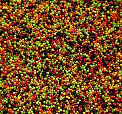 Poppy Mini Pearls