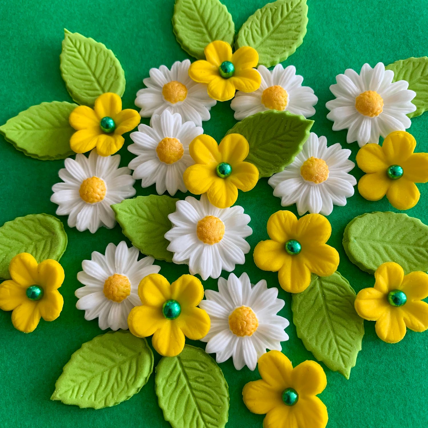Buttercup Daisies
