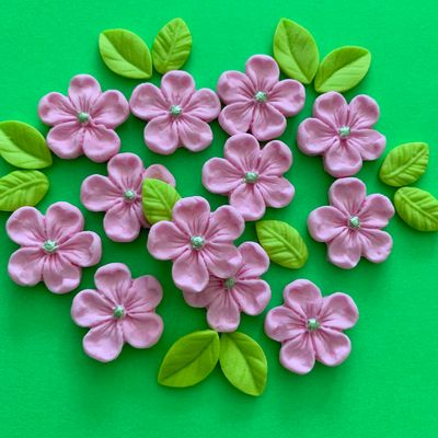 Pink Blossoms