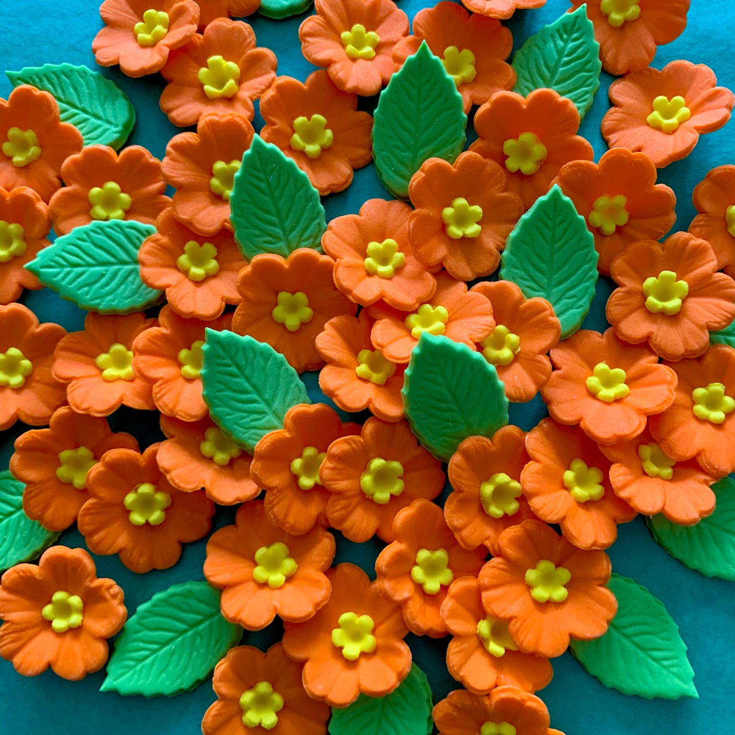 Orange Primroses