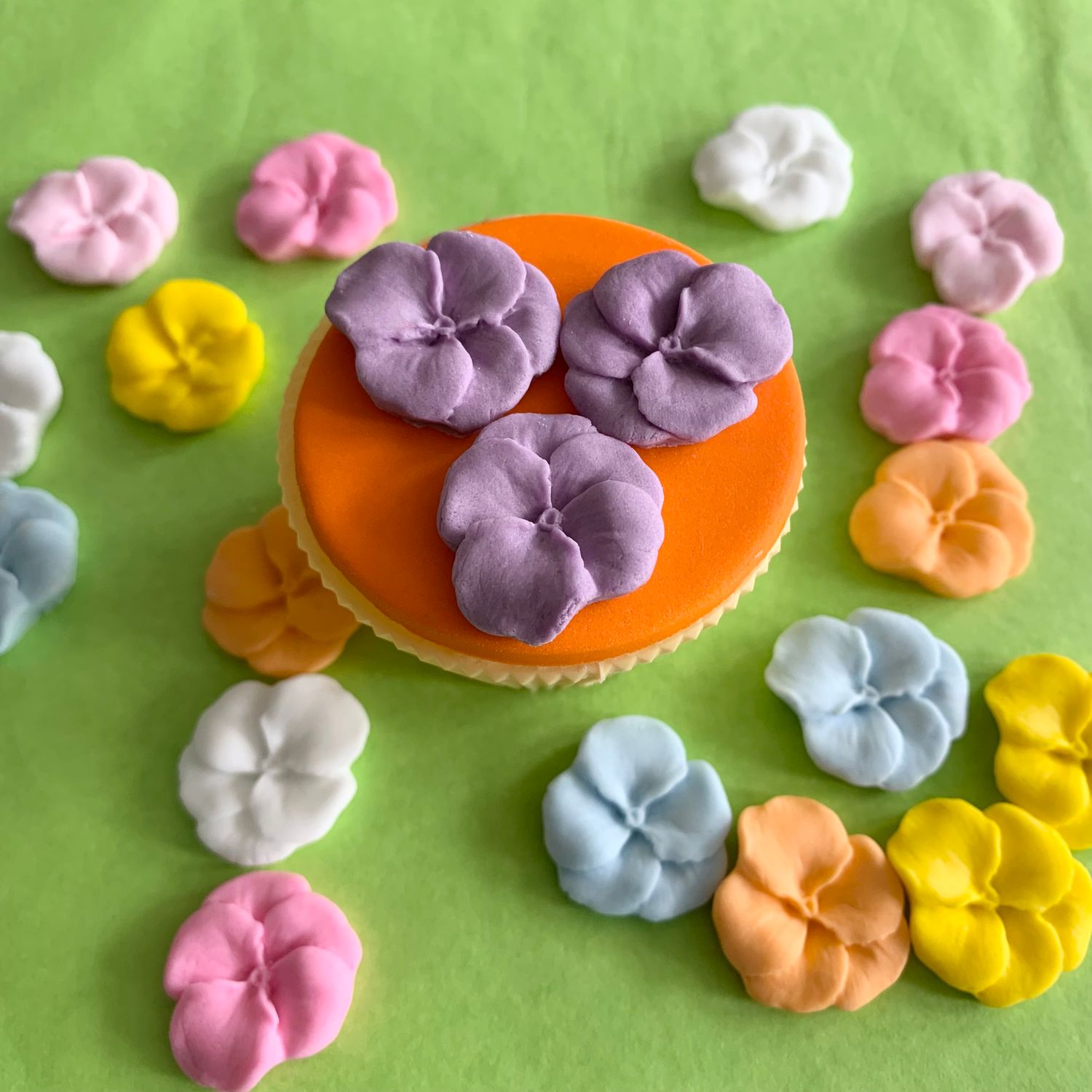 Naked Viola Pansy Flowers