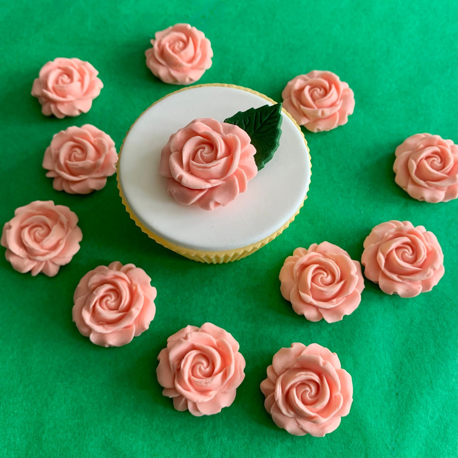 Peach Blush Roses