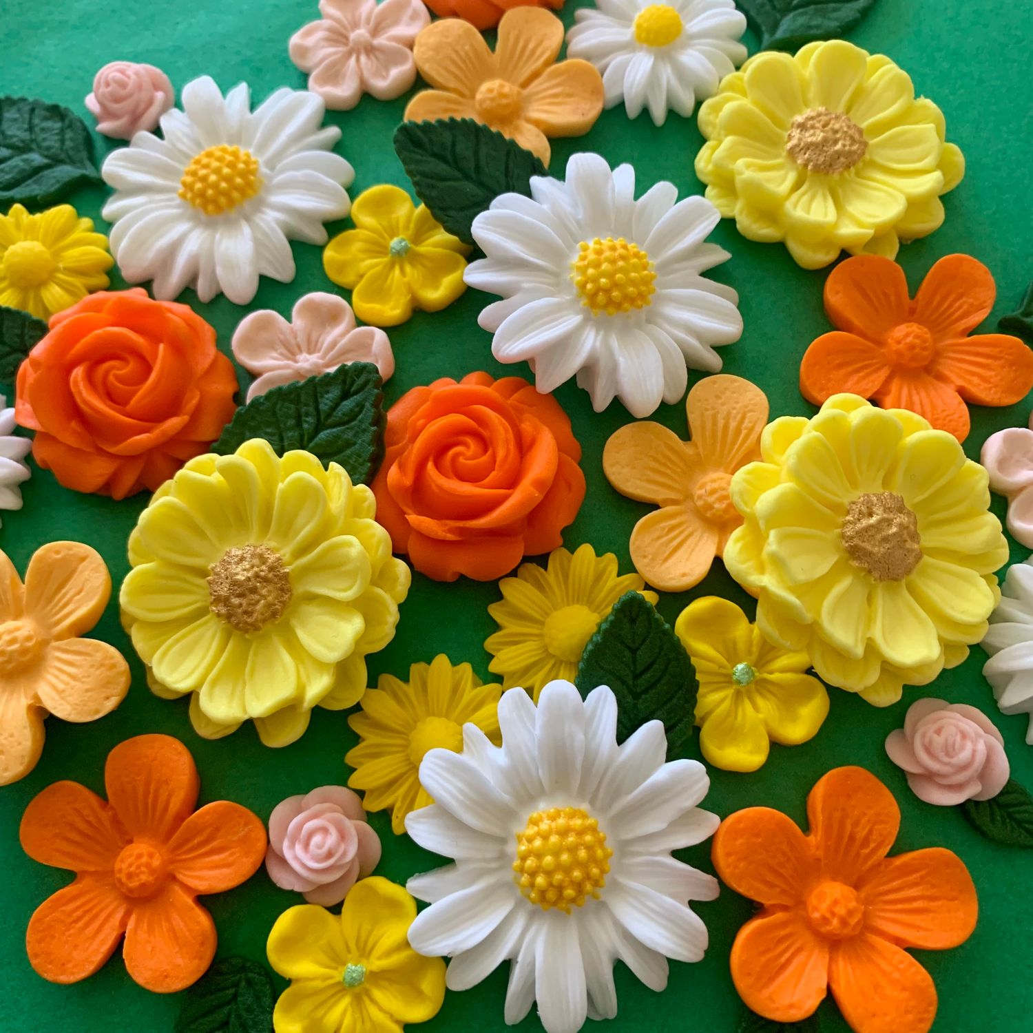 Daisy Medley Flowers