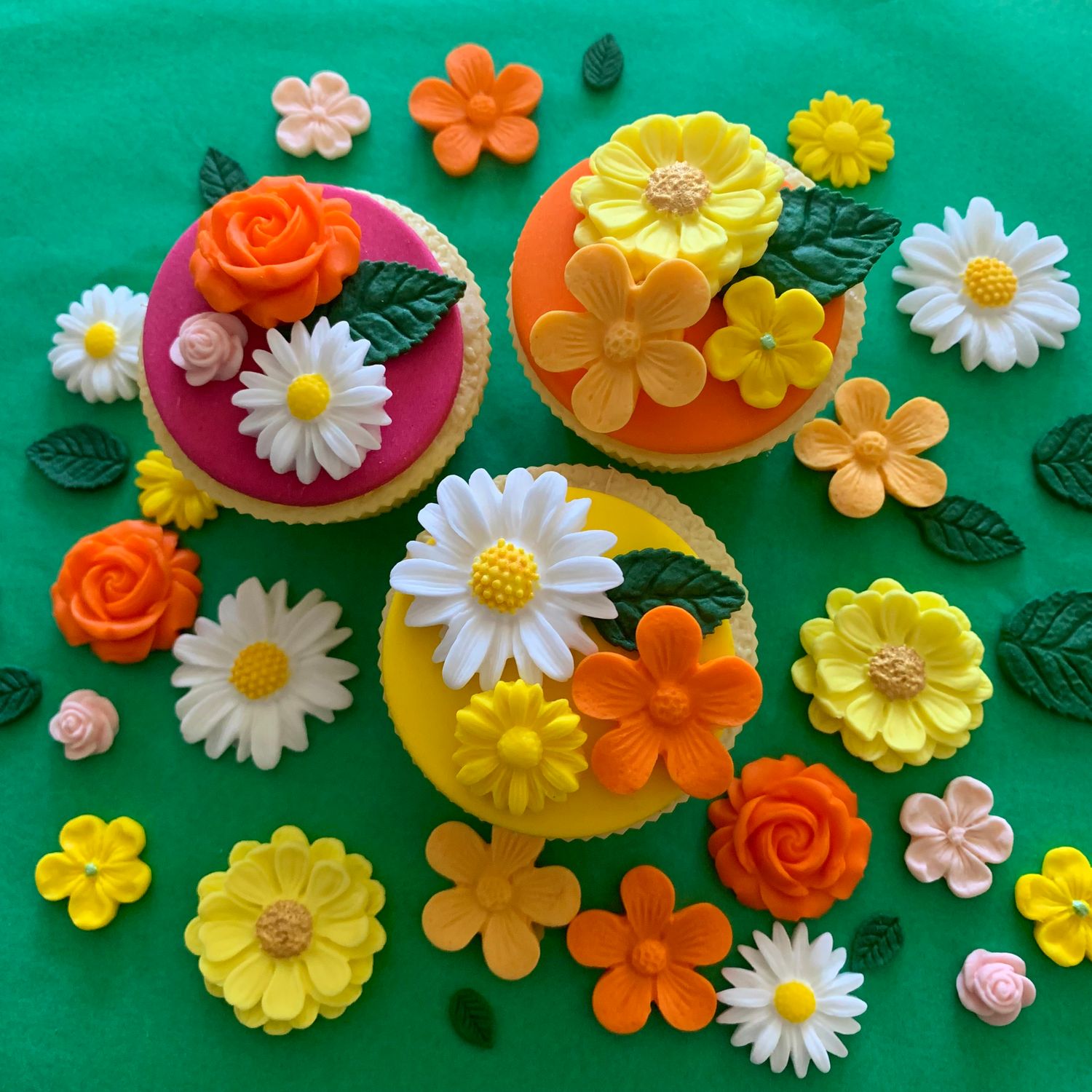 Daisy Medley Flowers