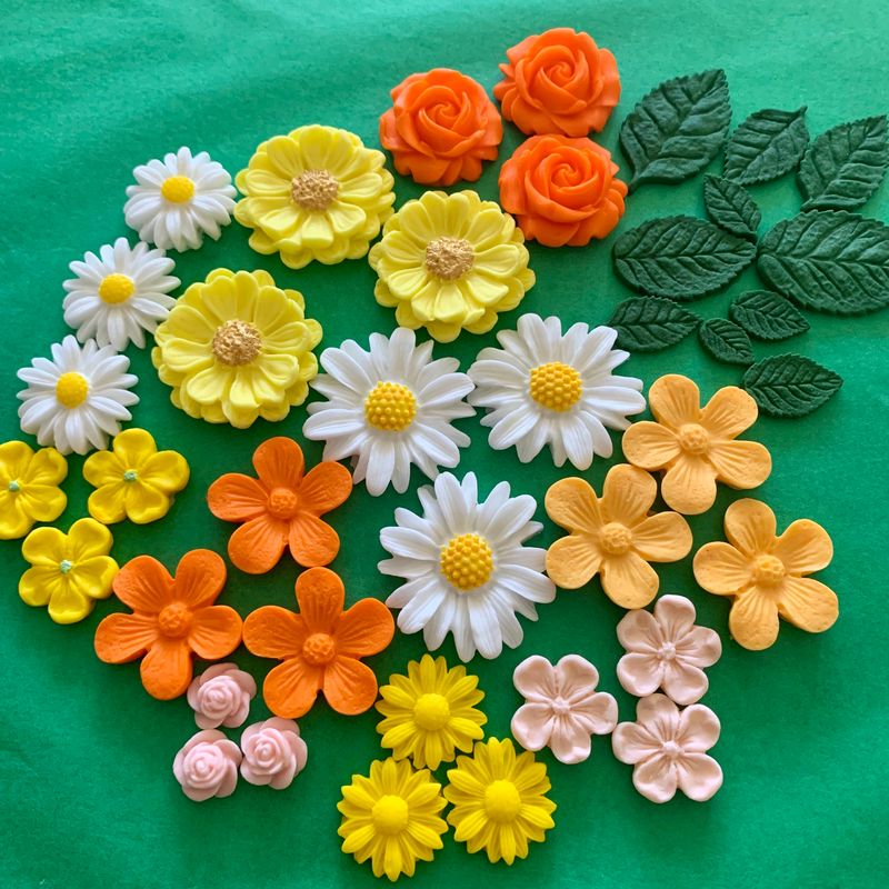 Daisy Medley Flowers