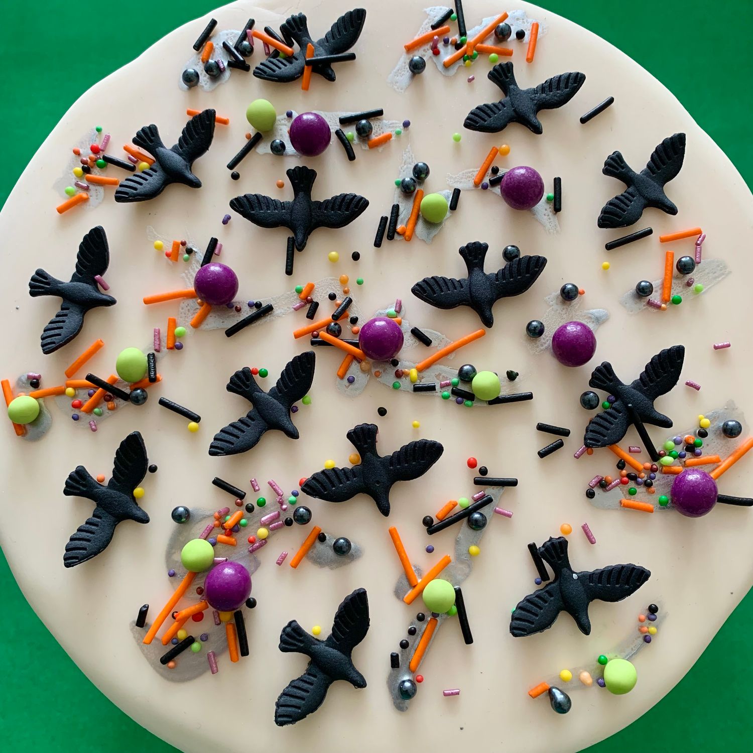 The Birds