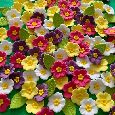 Primroses