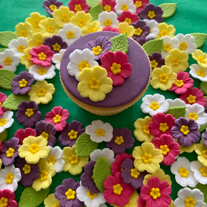 Primroses