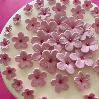 Dusky Pink Flowers