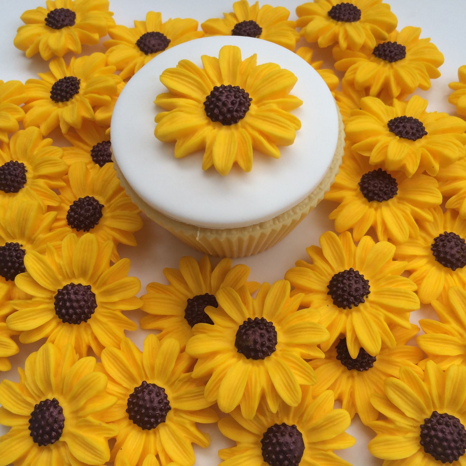 Yellow Daisies