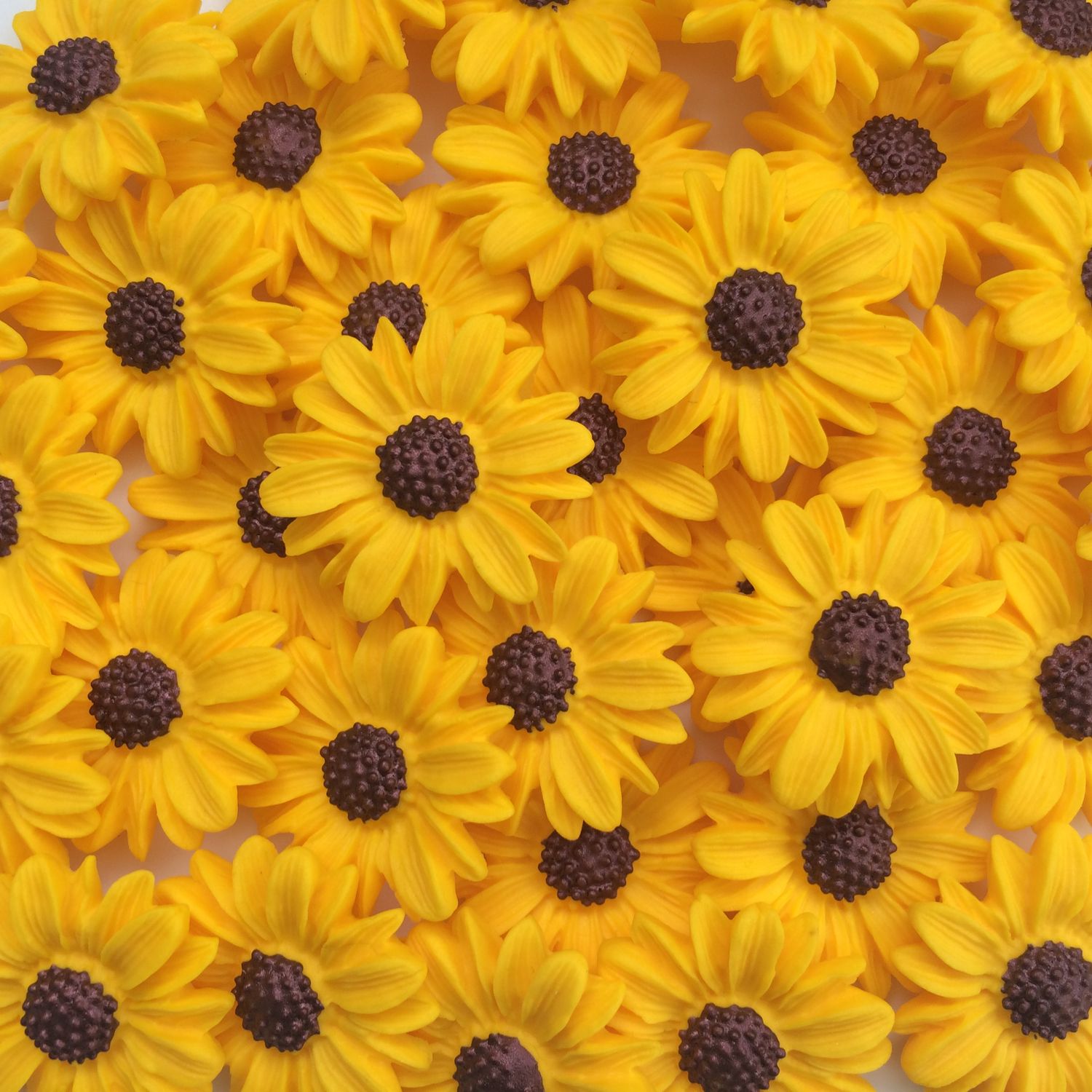 Yellow Daisies