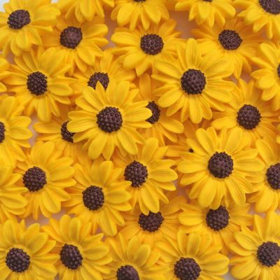 Yellow Daisies