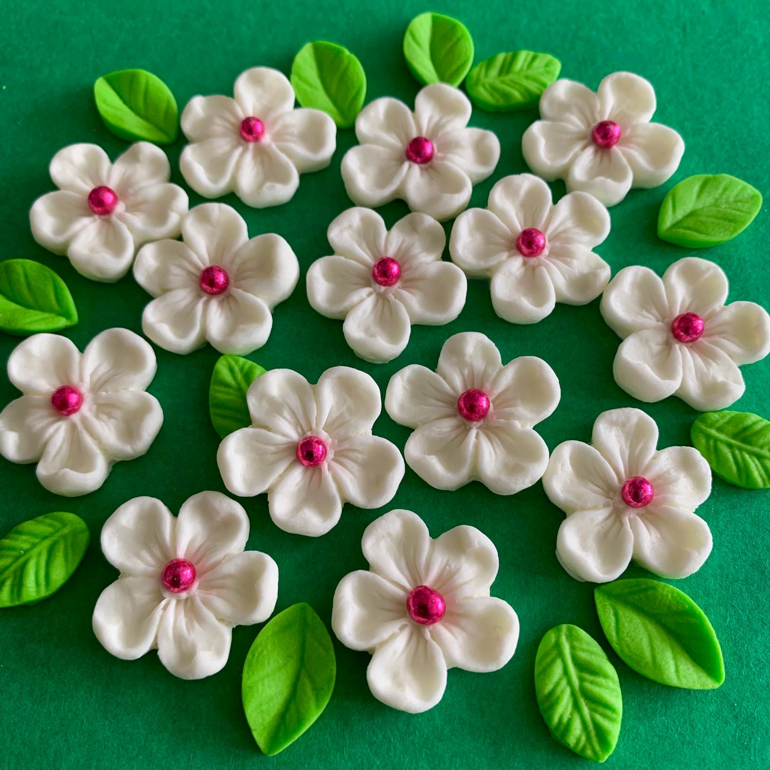 Cream Blossoms