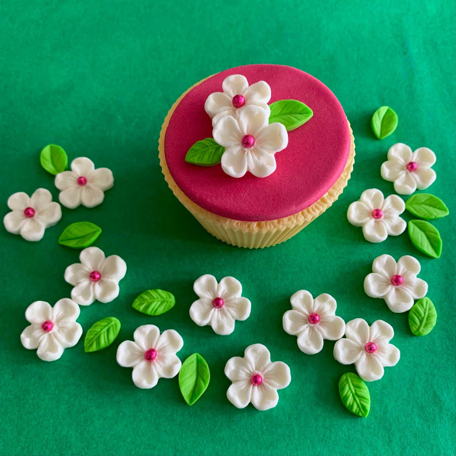 Cream Blossoms
