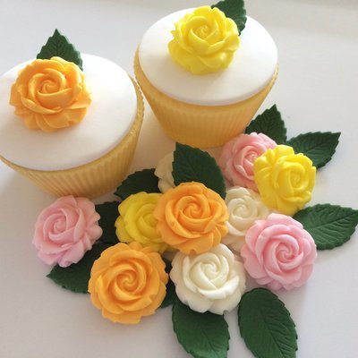 Summer Roses