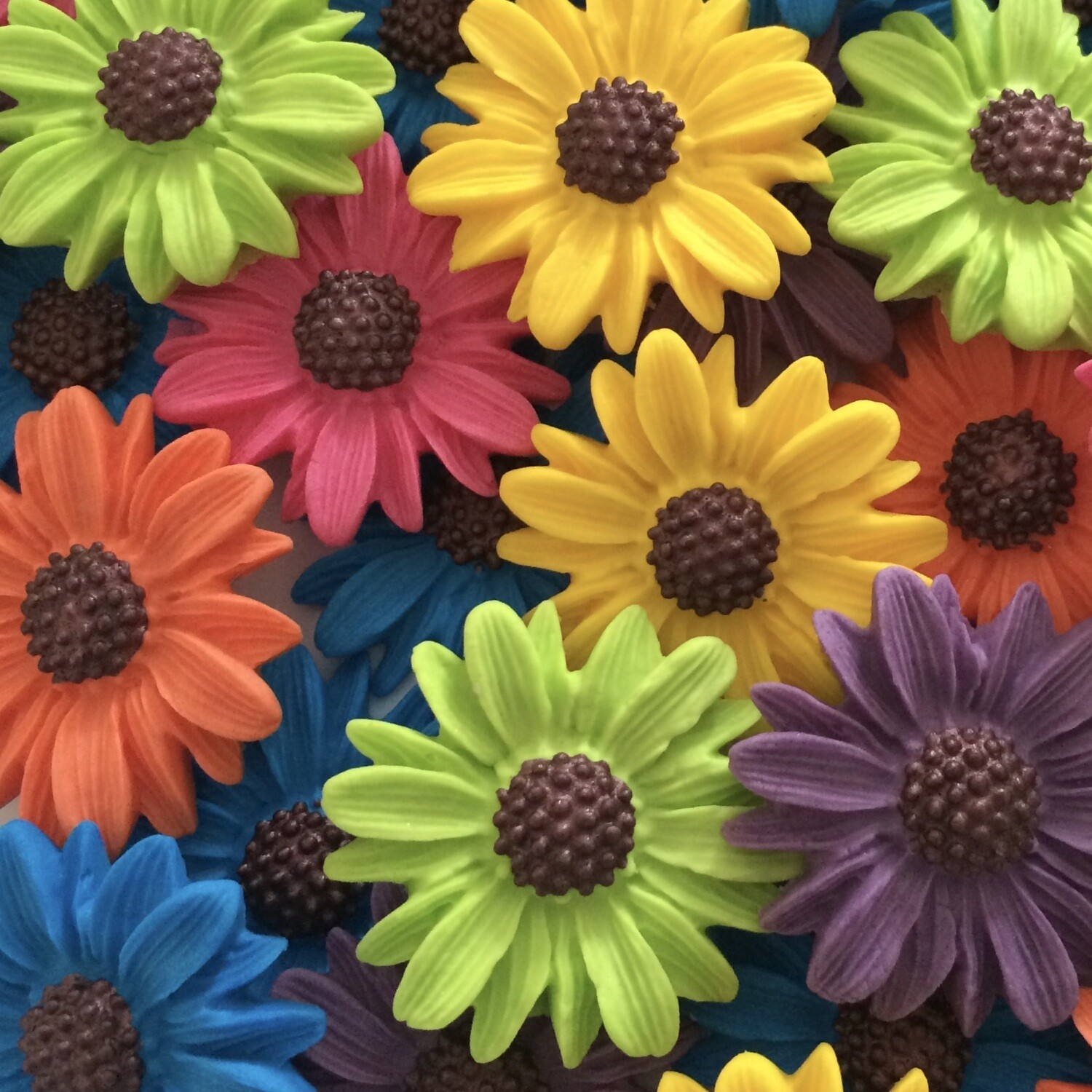 Bright Daisies