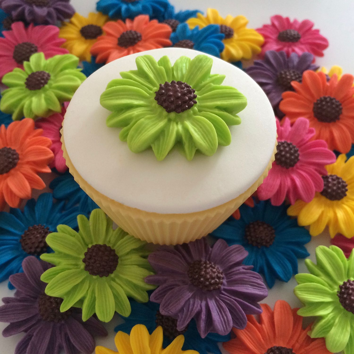 Bright Daisies