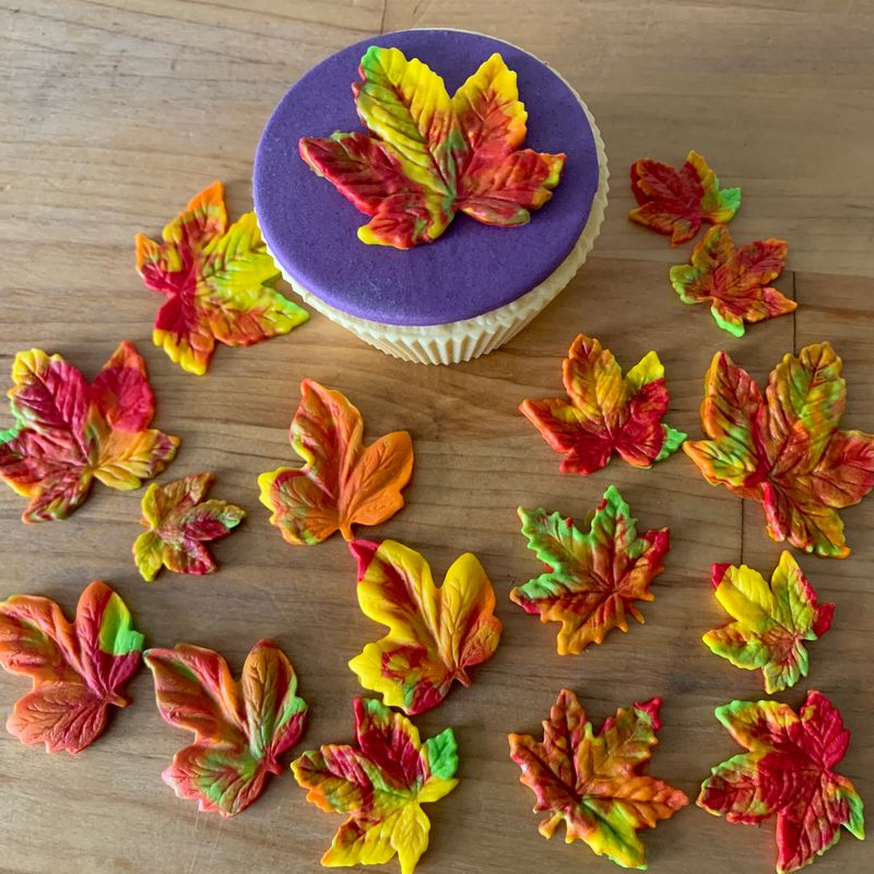 Maple Leaves