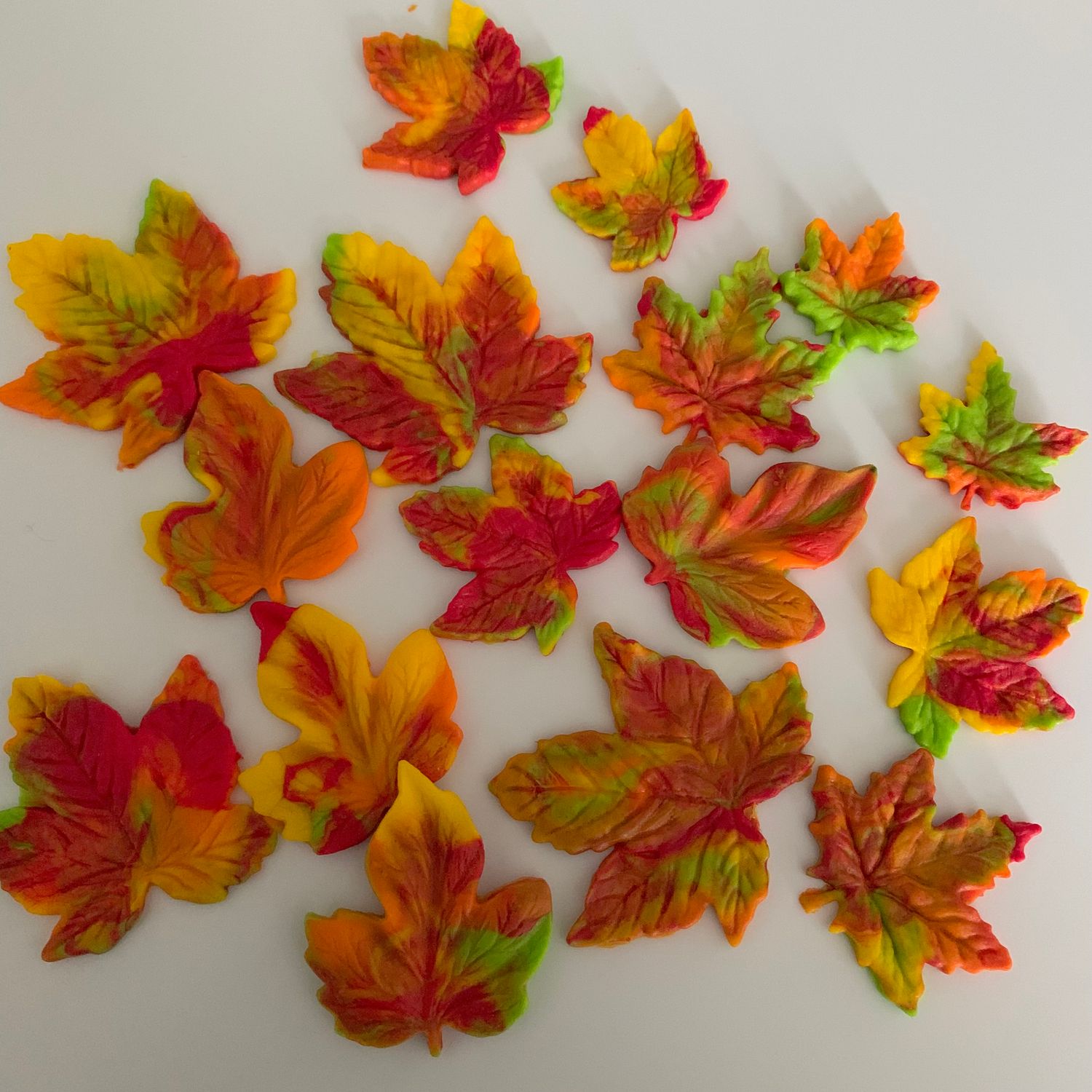Maple Leaves