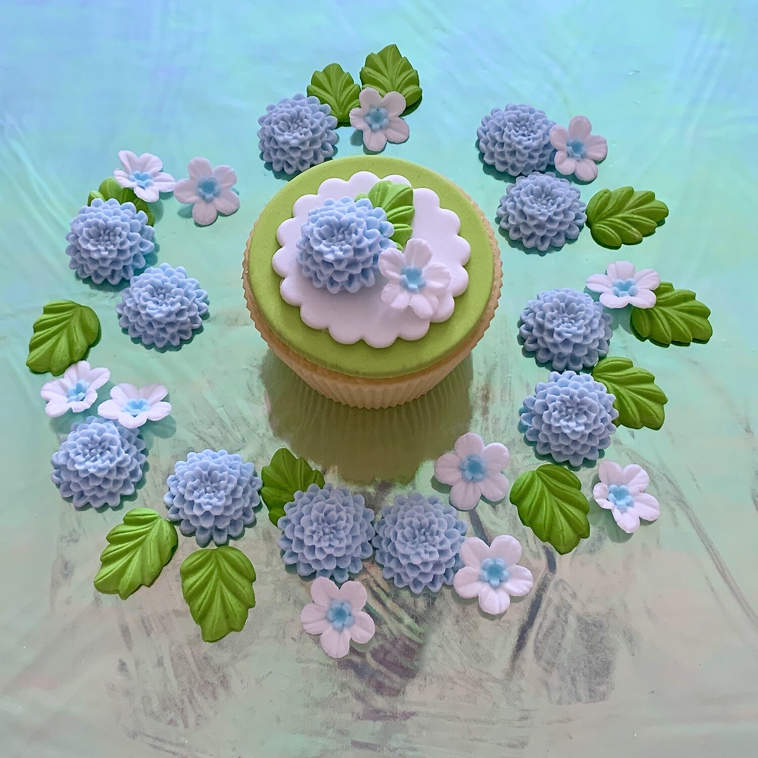 Baby Blue Chrysanthemums