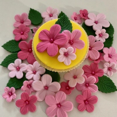 Pink Flowers