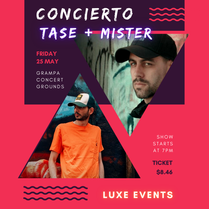 Entrada Concierto Tase + Mister
