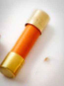 Fusible Roseaudio lent 5x20mm