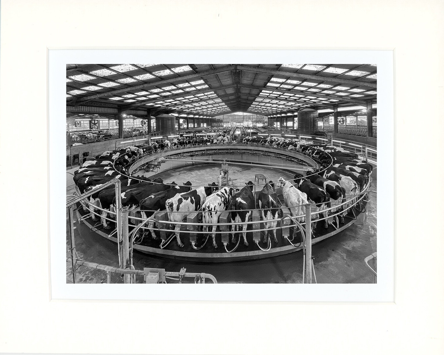 Carousel