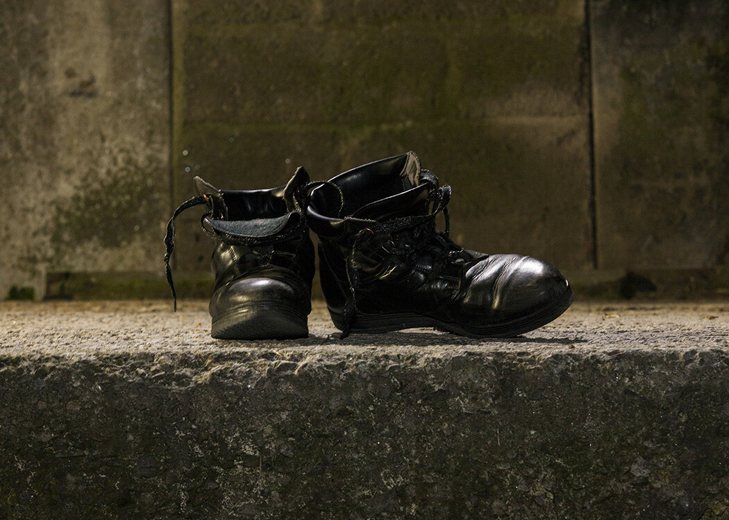 A Pair of Shoes