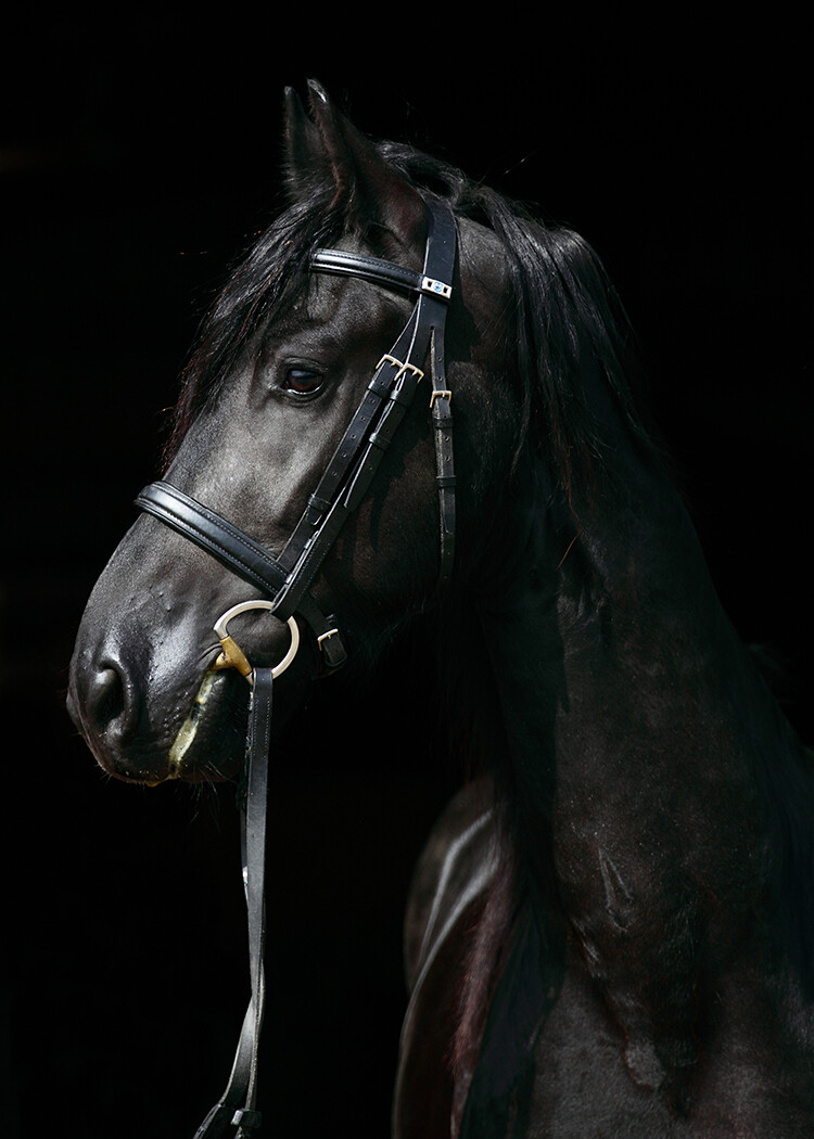 Majestic