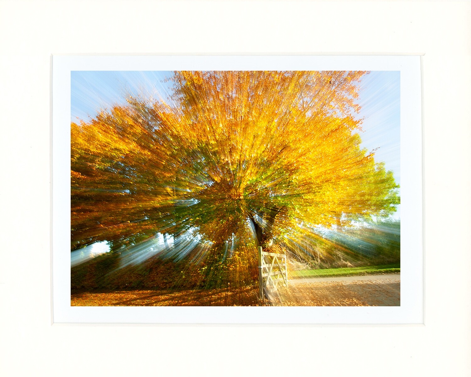 Autumn Derive