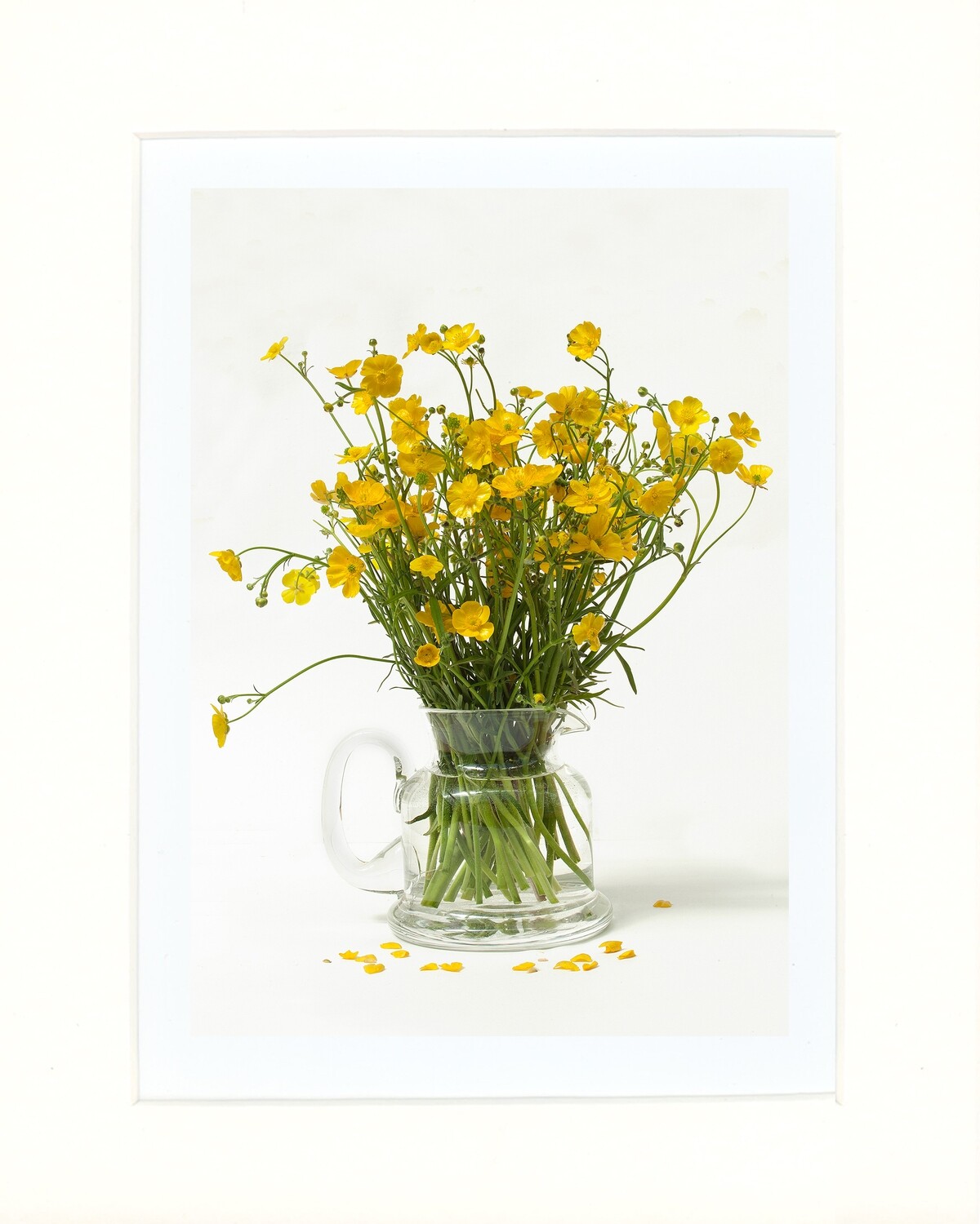 Buttercups