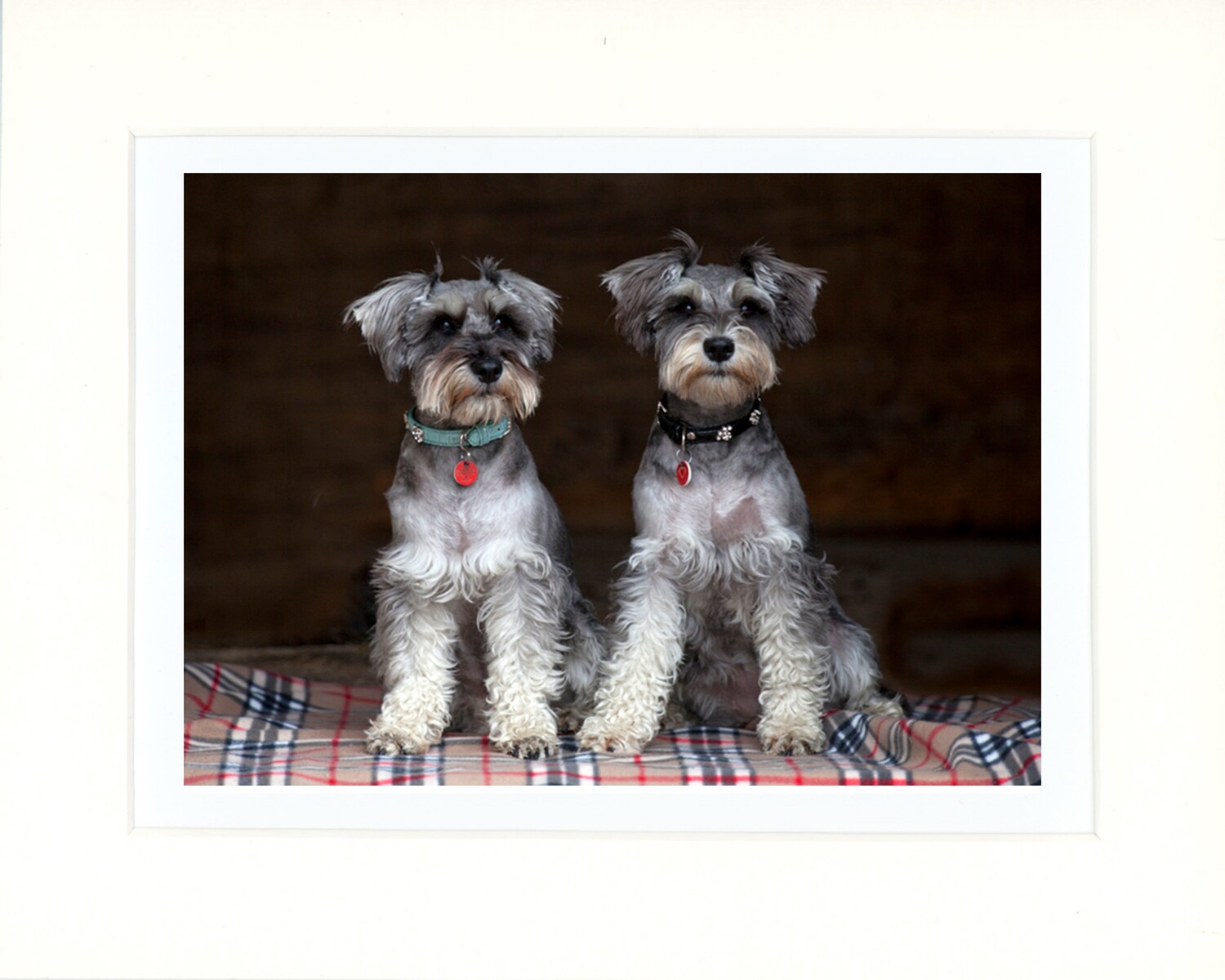 Double Trouble
