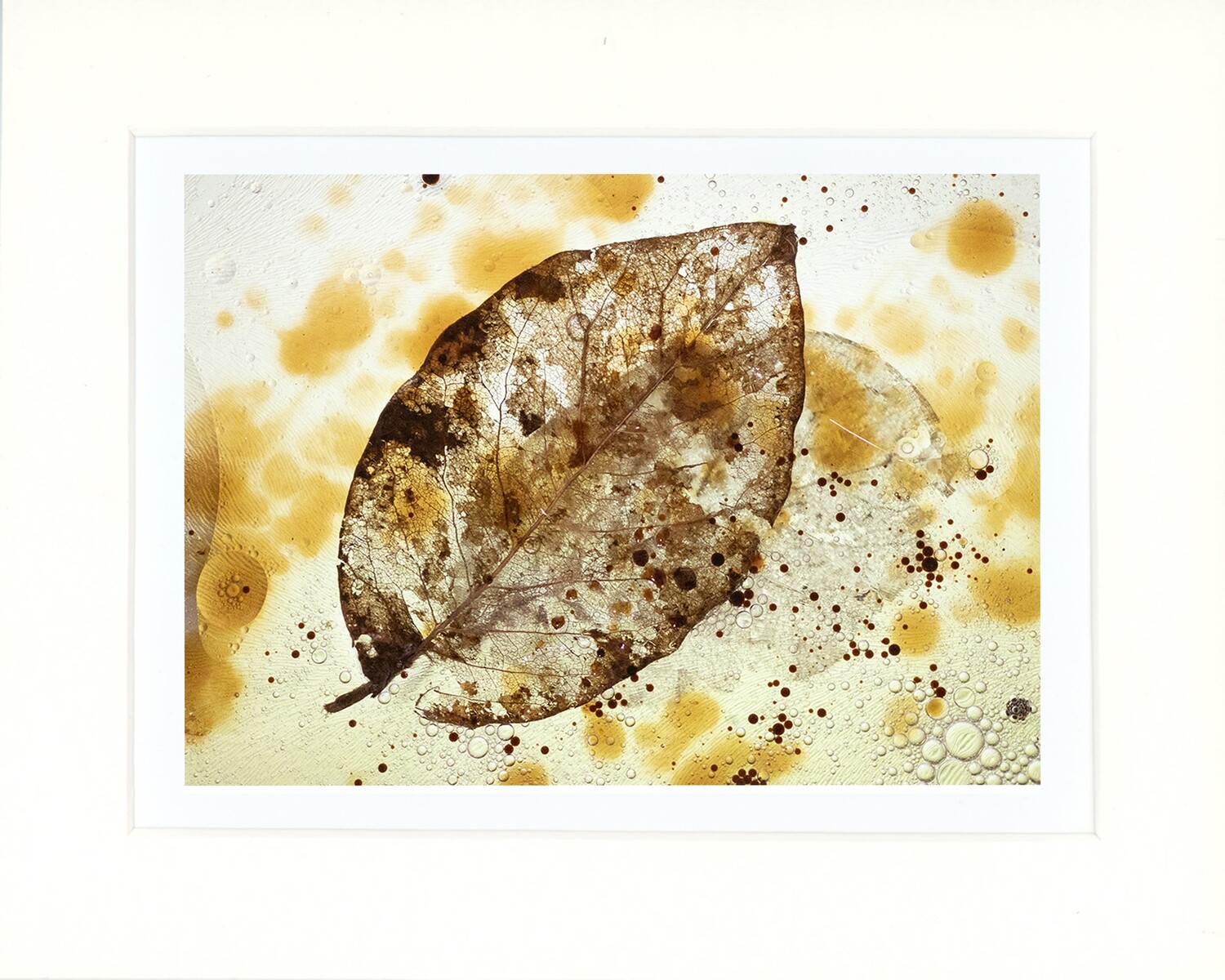Leaf