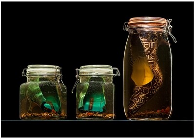 Fine Art Prints