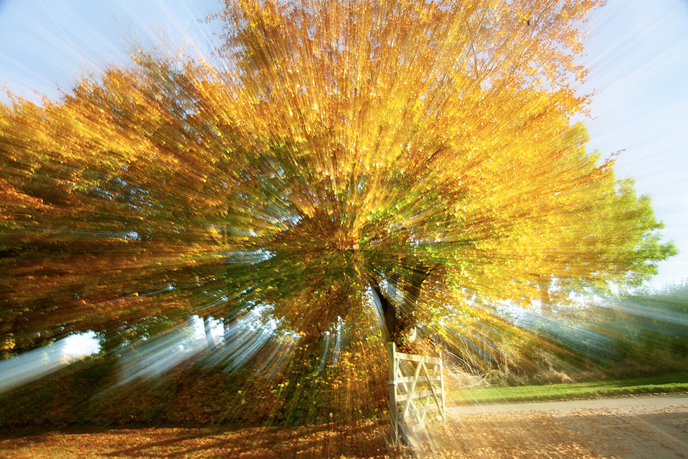 Autumn Derive
