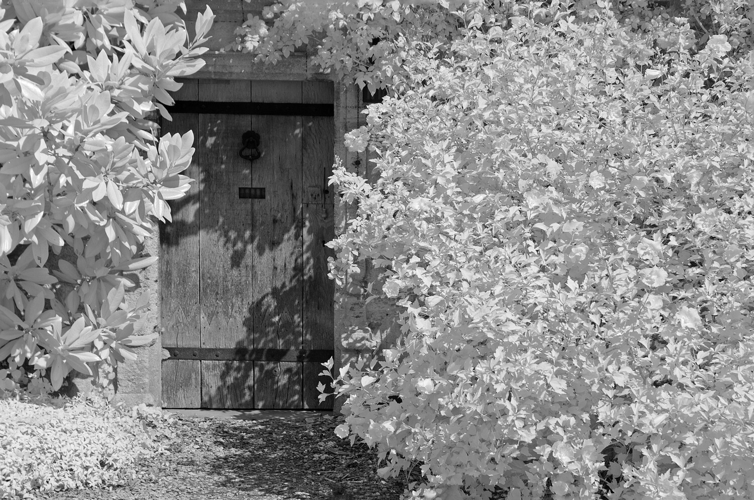 The Doorway