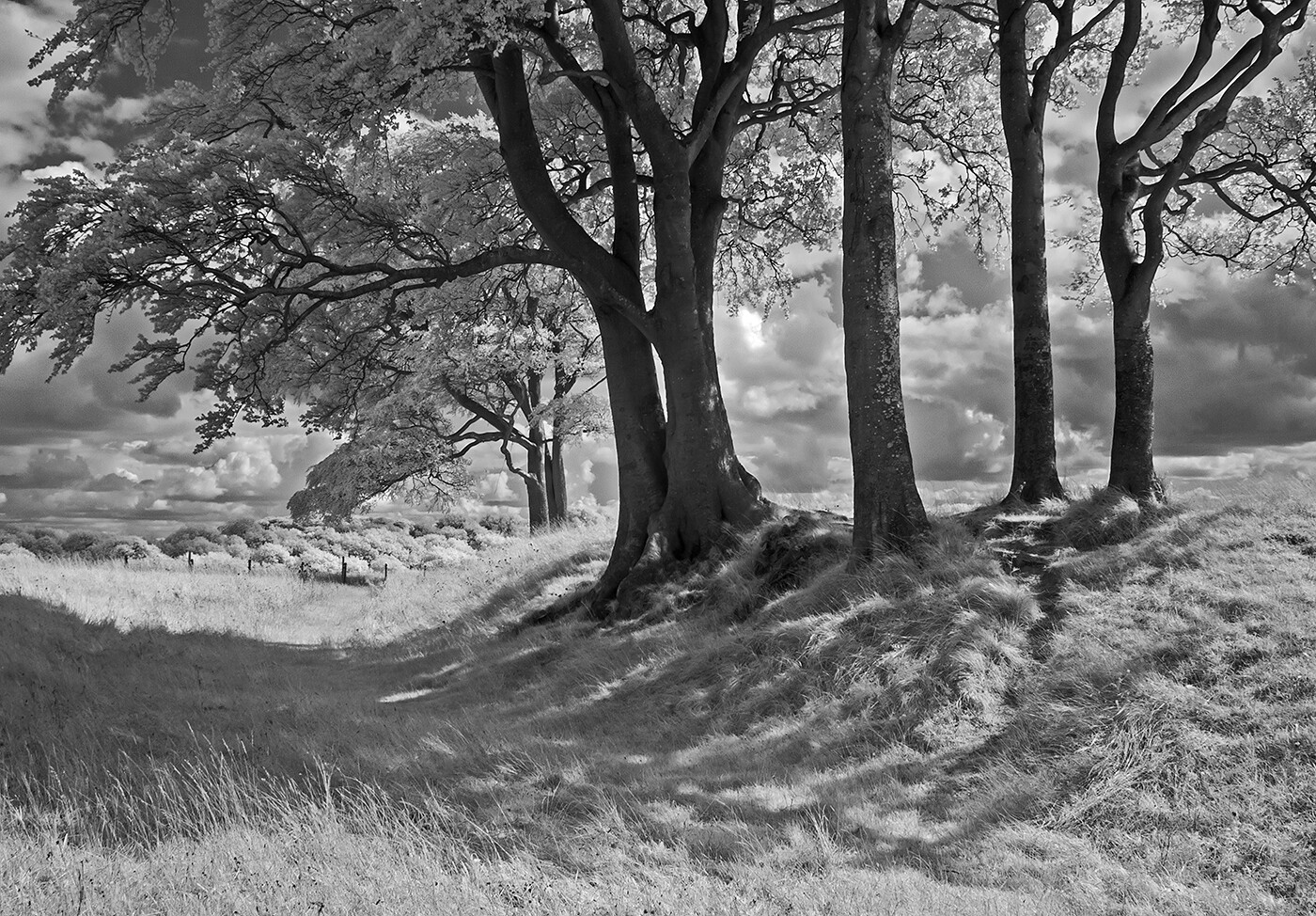 Roundway Down I