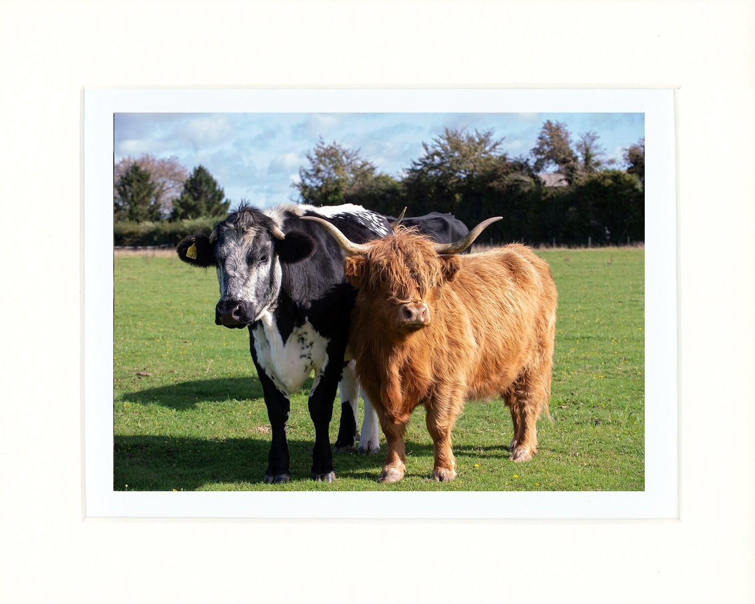 Best Mates