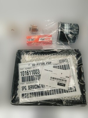 Kit de mantenimiento para DS 290