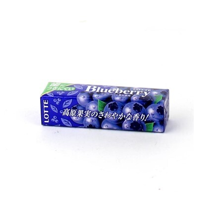 Lotte Blueberry Gum (26G)