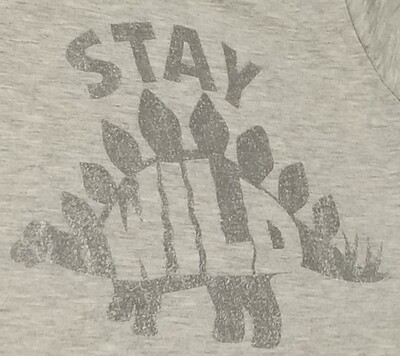 Stay Wild
