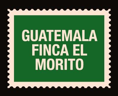 Guatemala Finca El Morito