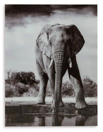 Glinyard - Black / White - Wall Art