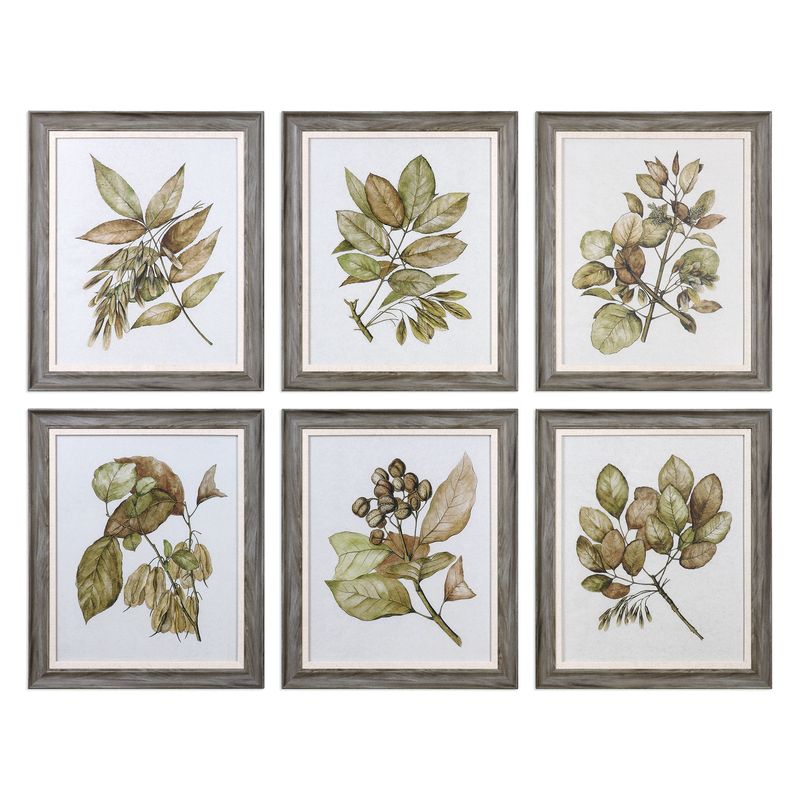 Seedlings - Framed Prints (Set of 6) - Green