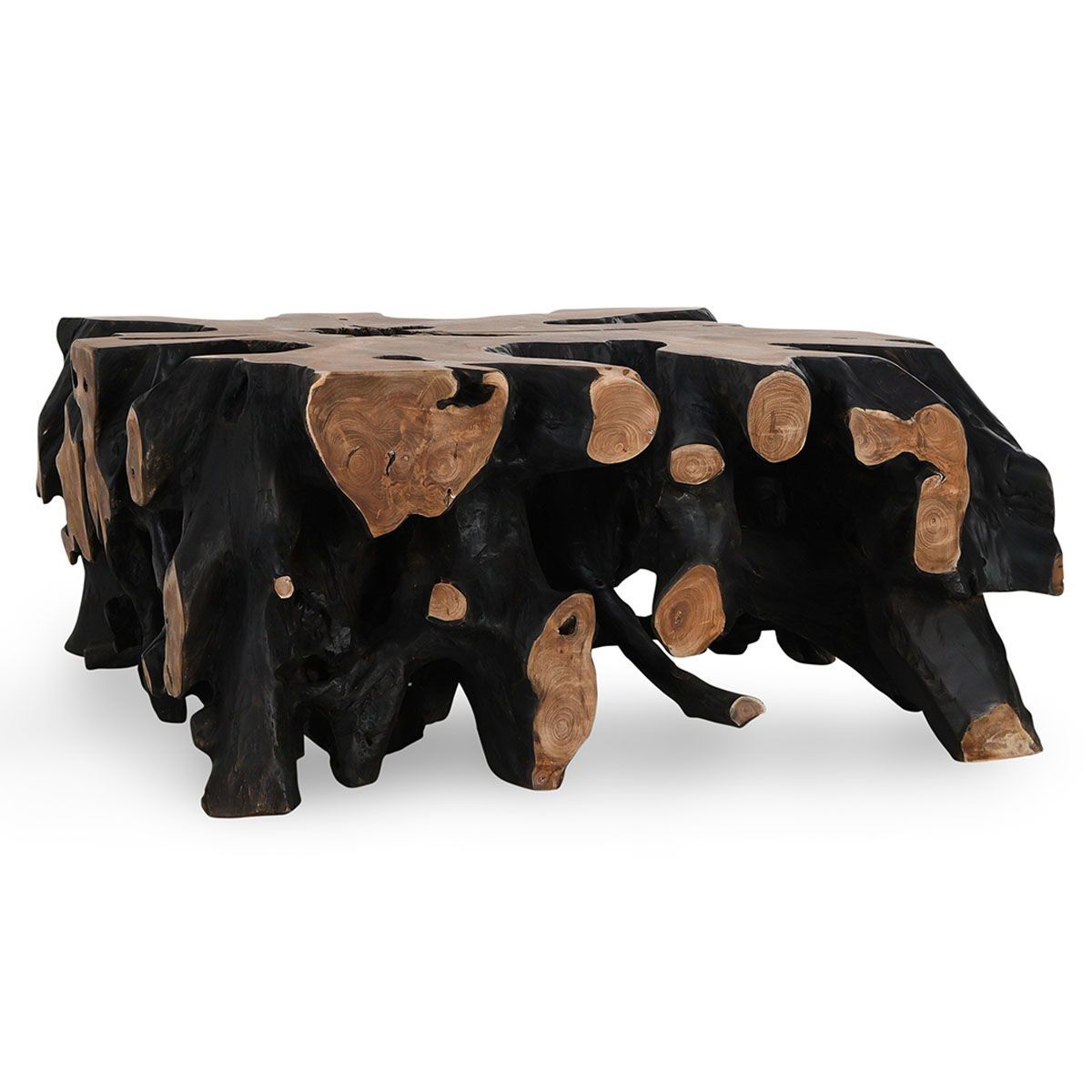 Cypress Root - Square Coffee Table - Black/Natural