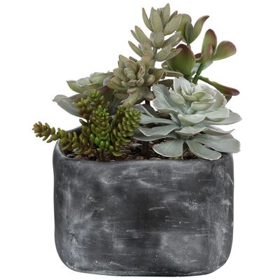 Plants